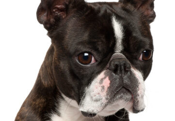 Weekly Devo: Heading Home