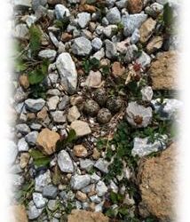 Weekly Devo: Happy Holy-Days