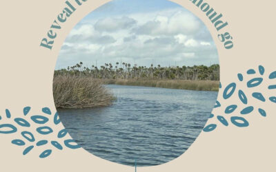 Reveal to Me the Way I Should Go