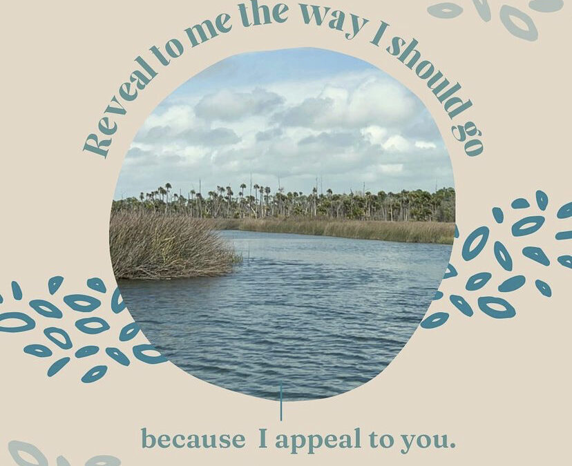 Reveal to Me the Way I Should Go